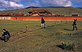 monastry with cows